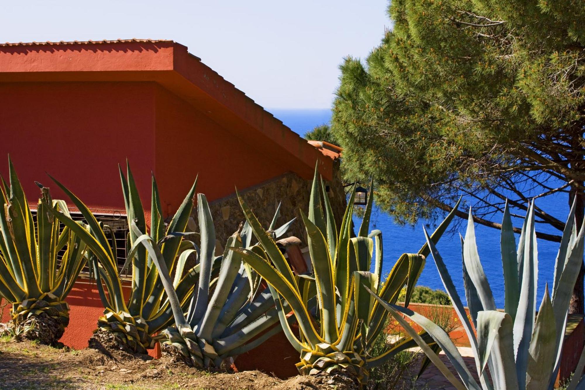 Tenuta Delle Ripalte Capoliveri  Quarto foto